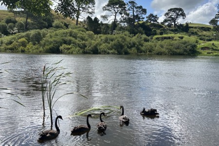 뉴질랜드 9박 11일 여행